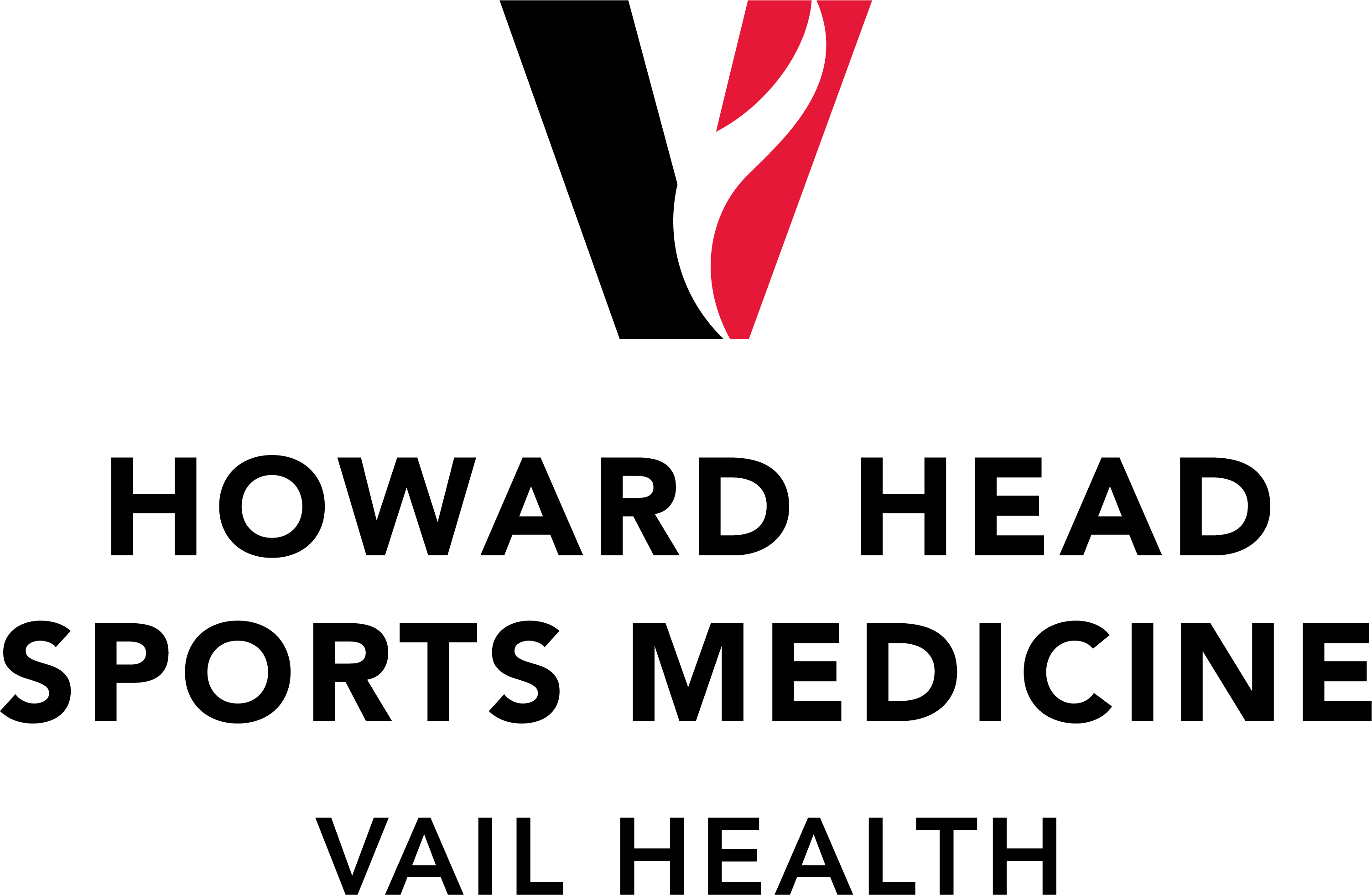 hhsm logo stacked rgb